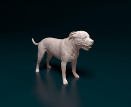 staffordshire toro terrier 4 3d impresión modelo in figuritas 3dexport personal bull perro animal listo imprimir stl obj 3d print model - Mito3D