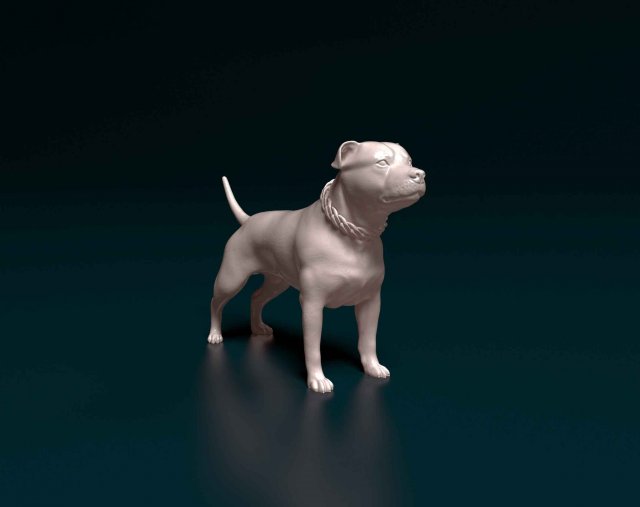 staffordshire toro terrier cadena 3d impresión modelo in figuritas 3dexport personal perro animal imprimible listo imprimir stl obj bull 3D print model - Mito3D