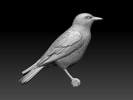 storno scultura uccello becco piume volo Ali colibri arte sculture ronzio colibrì Stampa 3d print model - Mito3D