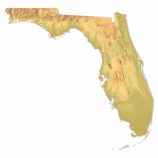 Florida stl terreno Uniti d'America nazione America arte carta geografica 3d print model - Mito3D