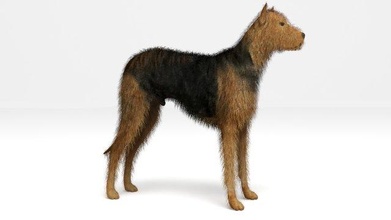 street dog 3d model in 3dexport fur dirty animal mammal pet terrier furry domestic canine mammals game gameready animals realistic puppy doggy hair 3d print model - Mito3D