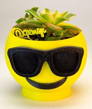 güneş gözlüğü emoji saksı simgeler arsa bitki bitkiler suculent suculenta cactu kaktüs 3d print model - Mito3D