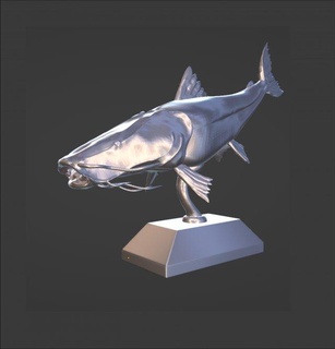 surubí pez trofeo figuritas surubí pez trofeo río gato pescar bagre 3d print model - Mito3D