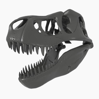 t-rex skull biology tyrannosaurus toy dinosaur rex skeleton bones science education jurassic cretaceous scientific scientist 3d print model - Mito3D