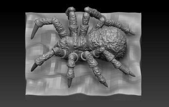 tarantula insect zoo zeezoo animal 3dprinter 3dprinted 3dprint 3dprinting 3d print model - Mito3D