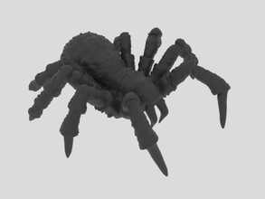 tarantula 3d model in insects 3dexport insect animal zeezoo zoo wild wildlife 3dprinter 3dprinted 3d print model - Mito3D