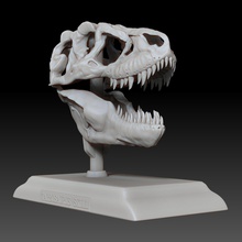 tarbosaurus cráneo 3d imprimible modelo impresión in escultura 3dexport dientes hueso tirano saurio rex carnívoro fósil horror mandíbula miedo peligro museo terrible depredador jurásico paleontología tiranosaurio extinto 3d print model - Mito3D
