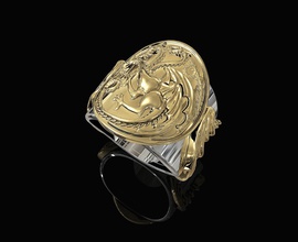 targaryen ring-game thrones ring 3d printable stl rings gold silver platinum sterling fashion men reliefe drgon game animal jewellry 3d print model - Mito3D