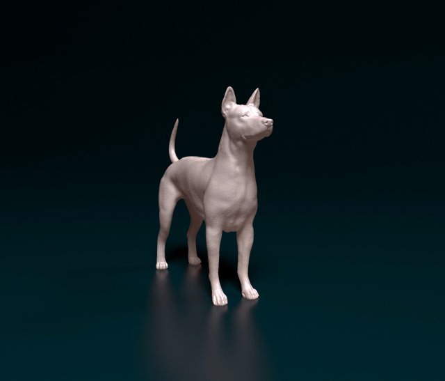 tailandese ridgeback 3d stampa modello in figurine 3dexport cane animale cresta stl obj printready stampabile 3D print model - Mito3D