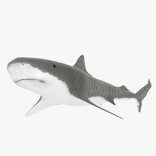 tigre requin poisson poly mer animal océan aquatique dangereux mâchoires 3d print model - Mito3D