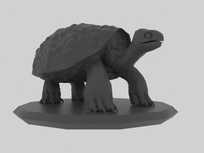 tortuga animal zoo zoología fauna silvestre salvaje zbrush 3dprinter 3dprint 3d print model - Mito3D