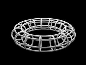toro círculos anillo torus estructura paramétricas la diversión art diseño 3d print model - Mito3D