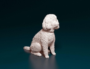 toy poodle toy poodle animal pet statue dog