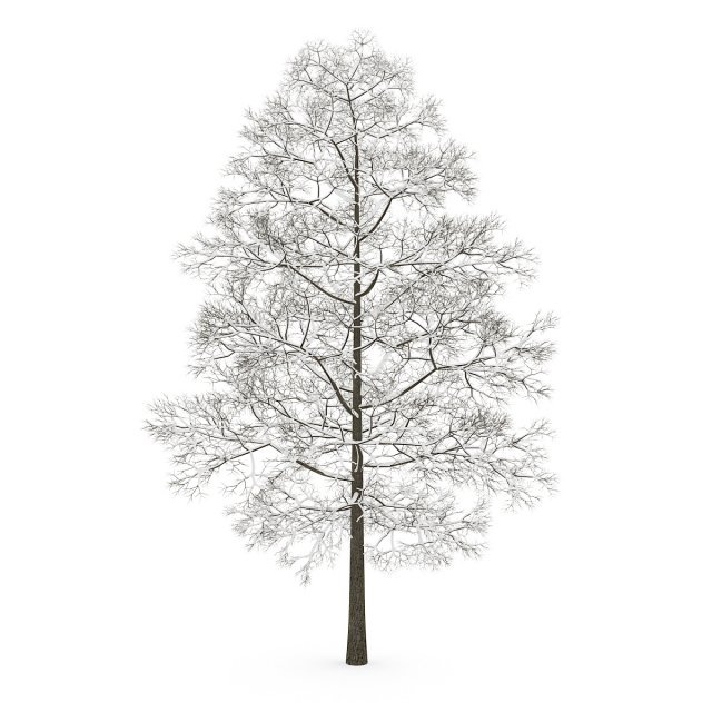 albero 3d 3D print model - Mito3D