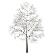 árvore 3d 3d print model - Mito3D