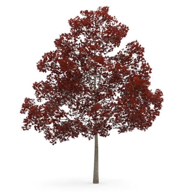 albero 3d 3D print model - Mito3D