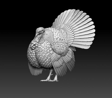 tacchino 3d Stampa modello scultura uccello statua pollo Gallo arte sculture 3d print model - Mito3D