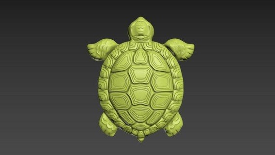 turtle animals reptiles relief 3dprint nature 3d print model - Mito3D