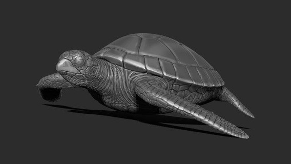 tortue impression 3d sculpture mer reptile cnc art sculptures jouet figure 3d print model - Mito3D