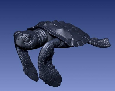 tartaruga articolato animali minuscolo cucciolo 3d print model - Mito3D