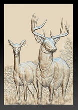 two deer - relief -2019 animal nature art forest sculpture zoo jungle fauna basrelief picture scene scenery hunting hunt 3d print model - Mito3D
