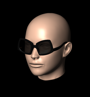 unisex sunglasses wild cat model1 glasses eyeglasses sunnies shades 3d print model - Mito3D