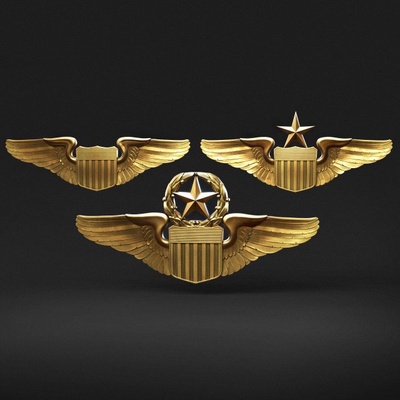 usaf pilot wings 3d print model in figurines 3dexport usa military aircraft us wing command senior officer jewerly pendant coin relief art miniatures medalion badges jewelry 3d print model - Mito3D