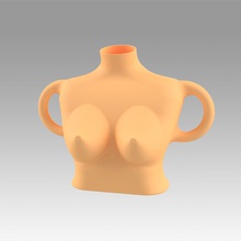 vaso fêmea seio 3d impressão modelo in escultura 3dexport mulheres ancas panela jarro garrafa decantador pedra velho roma esculpir escultural jarra decoração 3d print model - Mito3D