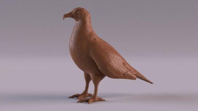 vulture 3d print model in sculpture 3dexport bird animal wild ornithology predator fauna africa statue figurine decoration toy 3d print model - Mito3D