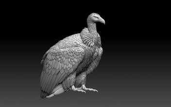 vulture bird birds predator print statue vulture scavenger animal sculpture miniatures condor 3d print model - Mito3D