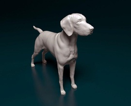 entendu chien animal imprimable printready stl obj 3d print model - Mito3D