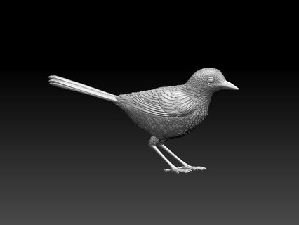 aguzanieves escultura gorrión urraca teta piñonero pájaro impresión Arte 3d print model - Mito3D