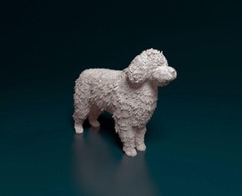 water dog printready printable stl obj animal 3d print model - Mito3D