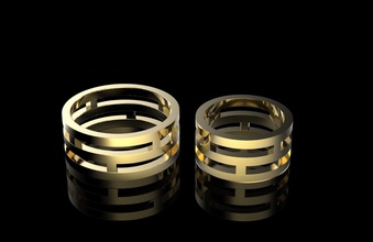 Hochzeit Ringe Schmuck Ring Engagement Gold Silber Platin cnc 3D Druck Modell druckbar Mode Schönheit Modering 3d print model - Mito3D