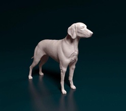 weimaraner cane animale stampabile printready stl obj weimar 3d print model - Mito3D