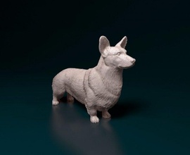 galés corgi cárdigan pembroke perro animal stl obj listo imprimir 3d print model - Mito3D