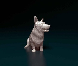 galês corgi pembroke sentado 3d impressão modelo in estatuetas 3dexport cão animal printready 3d print model - Mito3D