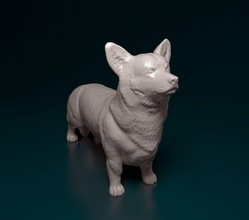 gallois corgi pembroke 3d impression modèle in figurines 3dexport chien animal printready imprimable stl obj cardigan 3d print model - Mito3D