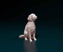 welsh springer spaniel 3d print model in figurines 3dexport dog animal printable printready stl obj 3d print model - Mito3D