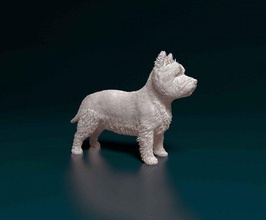 ovest altopiano bianca terrier westy cane animale stl obj stampabile printready 3d print model - Mito3D