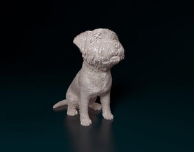 west highland white terrier sitting dog animal printready stl obj printable 3d print model - Mito3D