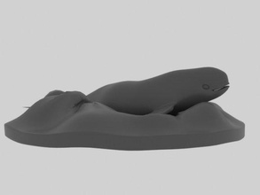 whale 3d model in 3dexport animal zoo sealife seacretures zbrush 3dprinter 3dprint wildlife zoology 3d print model - Mito3D