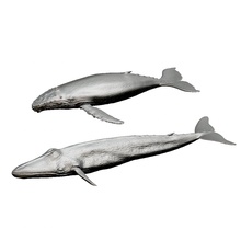 balena stampa 3d modello in 3dexport hampback stl scanes 3d print model - Mito3D