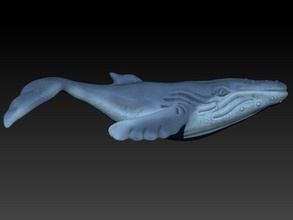 wal 3d drucken modell tiere 3dexport tier meer ozean fisch hai wasser natur marine säugetier orca segel boot frisches leben kreatur delfin miniaturen figuren 3d print model - Mito3D