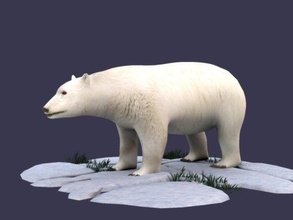 blanc ours polaire animal ar vr modèle 3d in 3dexport 3d print model - Mito3D