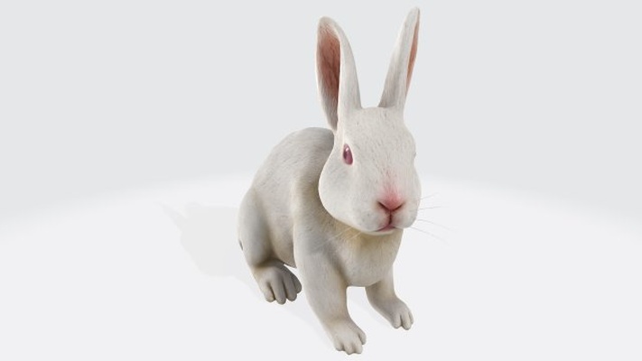 white rabbit ready to print 3d model in sculpture 3dexport bunny hare animals easter pet nature character sculptures cartoon ear cute-animal baby zoo statuette 3dprint art printable fur 3d print model - Mito3D