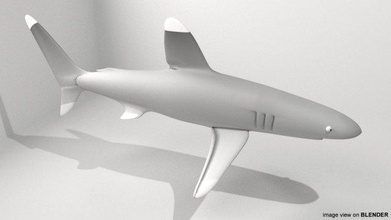 whitetip shark predator ocean seawater jaws fish fins pectoral 3d print model - Mito3D