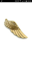 wing pendant woman uniq jewelry neautiful gem diamong gold silver 3d print model - Mito3D