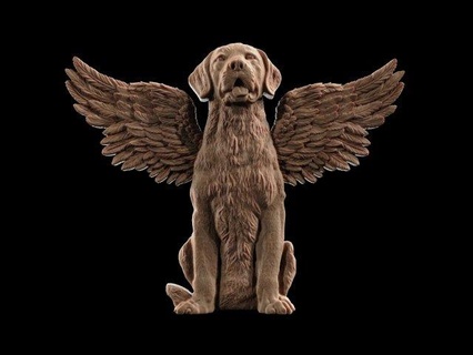 alas perro escultura dorado perdiguero imprimible Monumento perrito animal stl mascota canino Labrador bas relief dog ángel amor bebé winged 3d print model - Mito3D