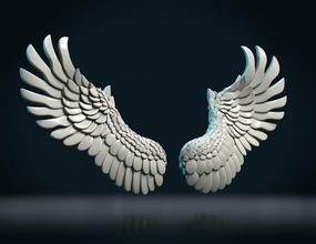asas ii Águia anjos pena céu pássaro 3d print model - Mito3D